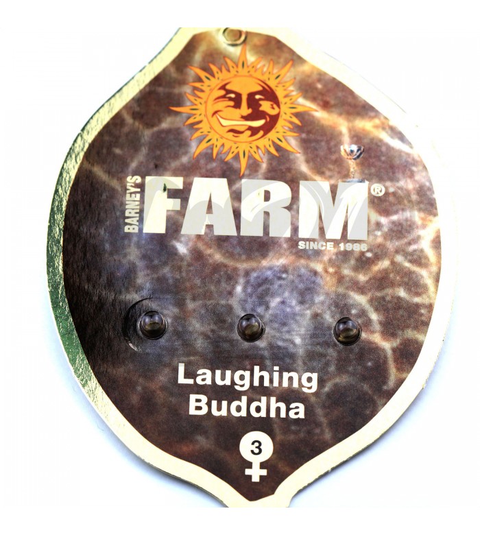 Laughing Buddha Feminised купить в Украине