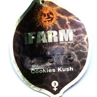 Cookies Kush Feminised
