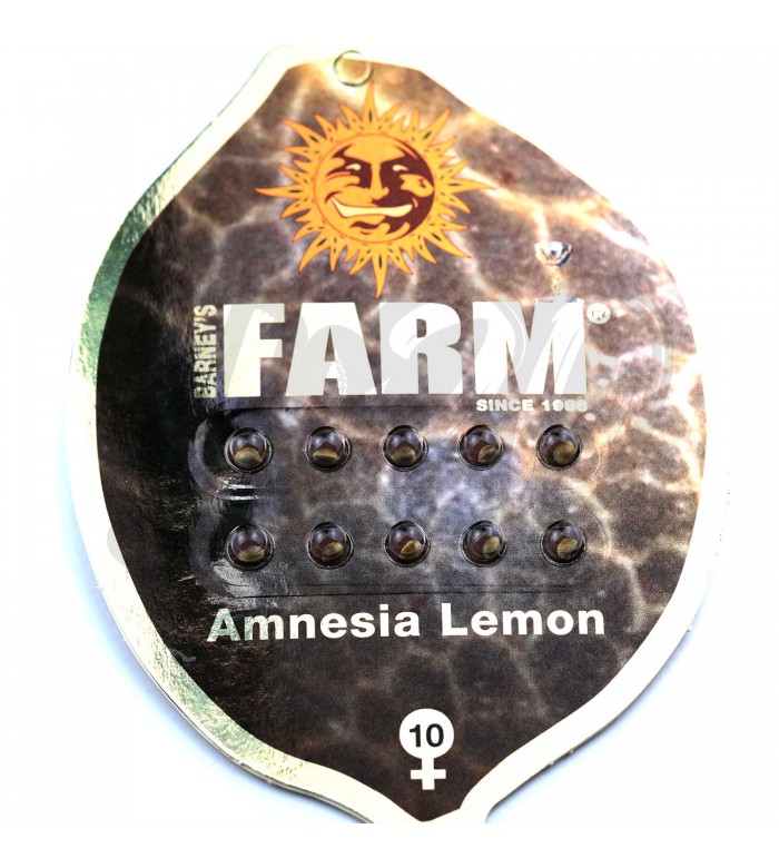 Amnesia Lemon Feminised купить в Украине