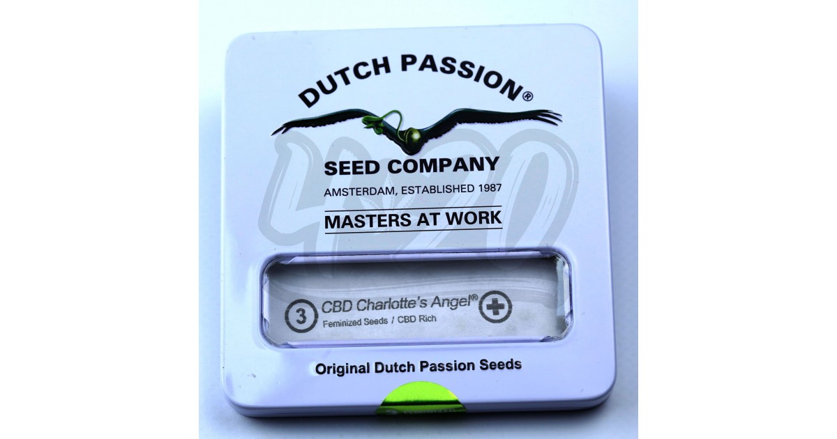 CBD Charlotte's Angel feminised от Dutch Passion купить в Украине