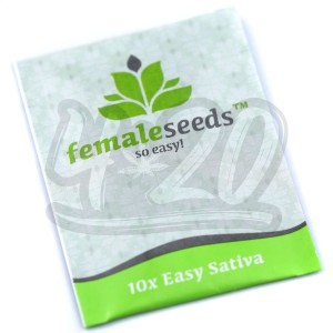 Easy Sativa Feminised купить в Украине