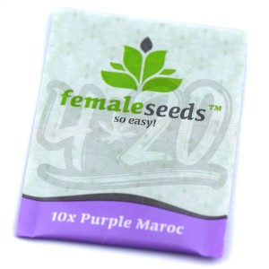 Purple Maroc Feminised купить в Украине