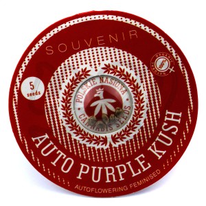 Auto Purple Kush Feminised купить в Украине