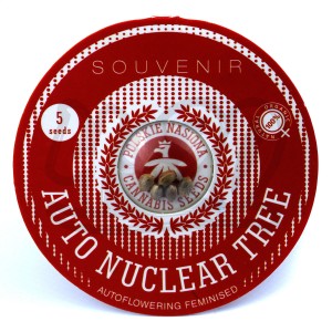 Auto Nuclear Tree Feminised купить в Украине