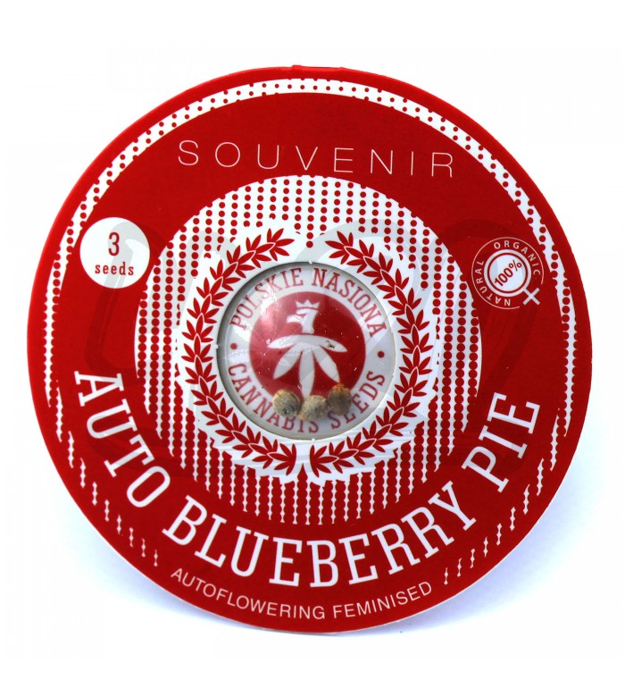 Auto Blueberry Pie Feminised купить в Украине