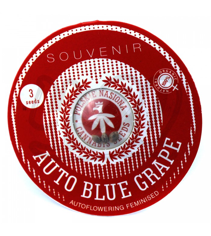 Auto Blue Grape Feminised купить в Украине