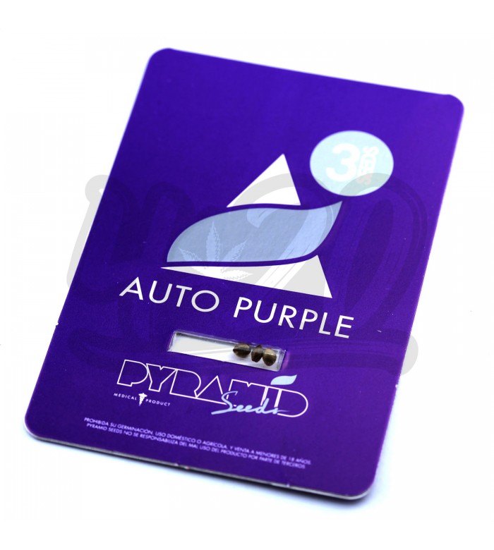 Auto Purple Feminised купить в Украине