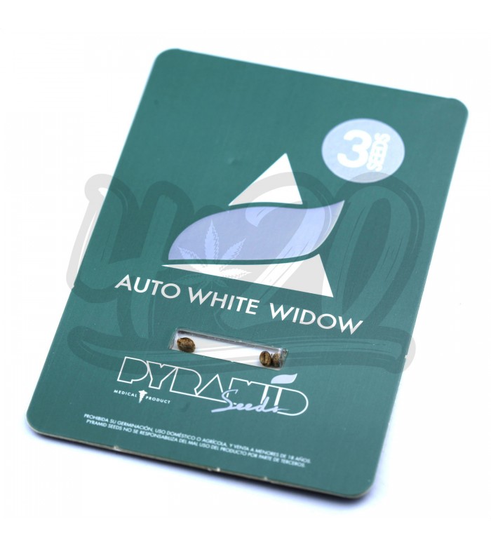 Auto White Widow Feminised купить в Украине