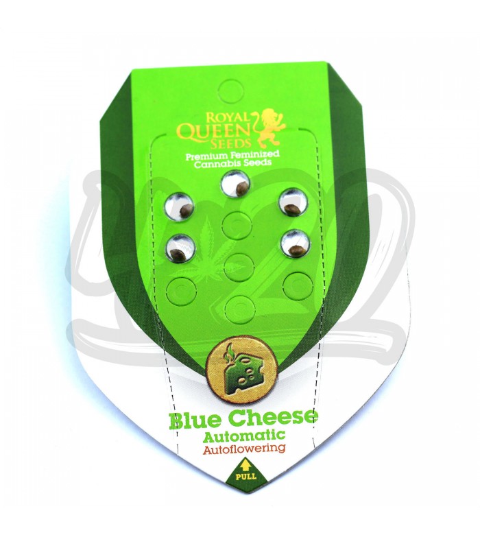 Auto Blue Cheese Feminised купить в Украине